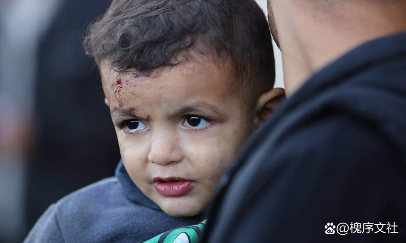 哈尔滨江莎莎事件始末真相，揭秘来龙去脉