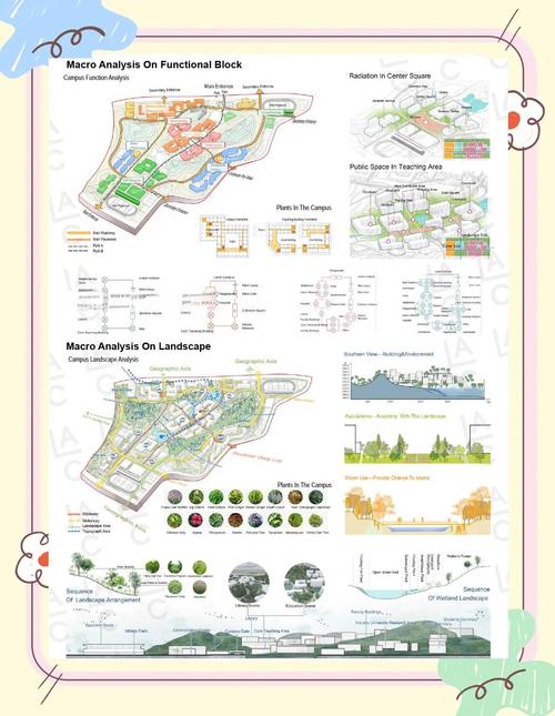 大学美化项目工程:美化学院的方案大揭秘