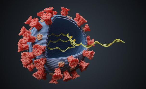 BF.7毒株或成全球主流毒株，了解cz02毒株相关情况