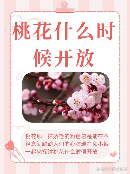 西安桃花潭花开了吗？最新开放时间与疫情入园须知