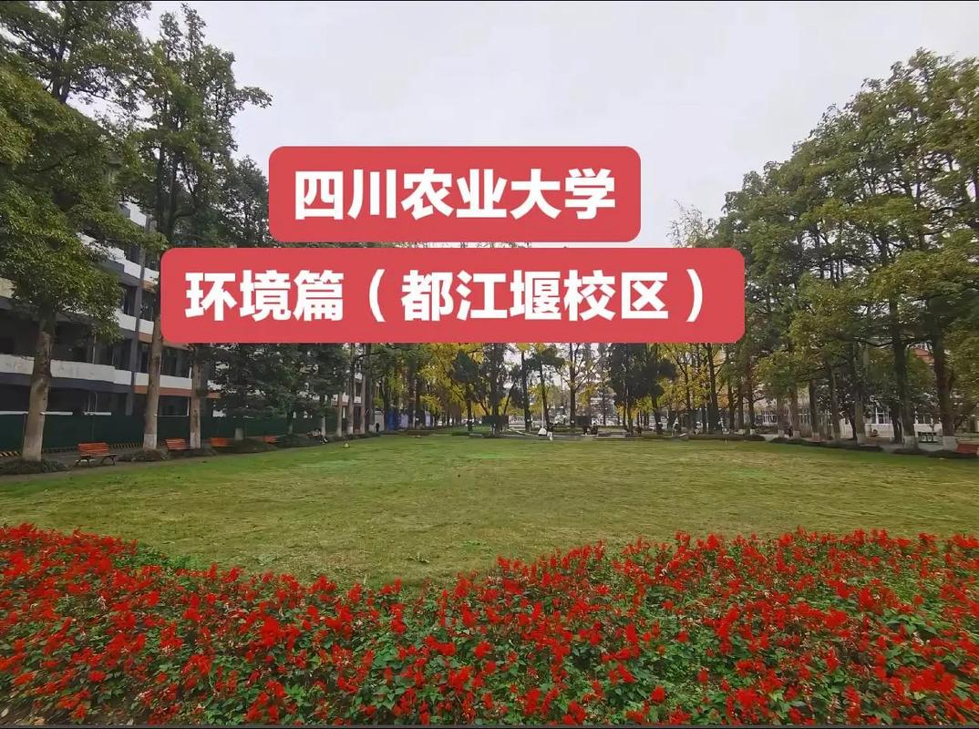 四川农业大学都江堰校区怎么样？规模、专业、位置等全面解析